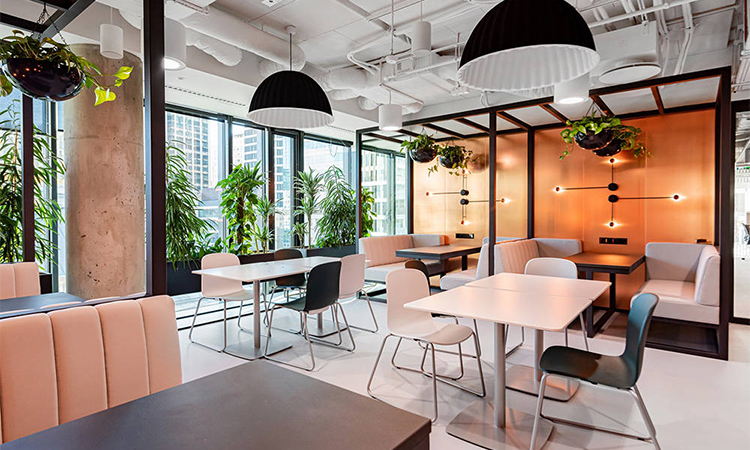 上海辦公室裝修怎么選綠植，既能凈化空氣又能旺風水？