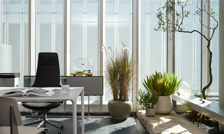 茶文化辦公室設計效果 茶文化辦公室設計效果