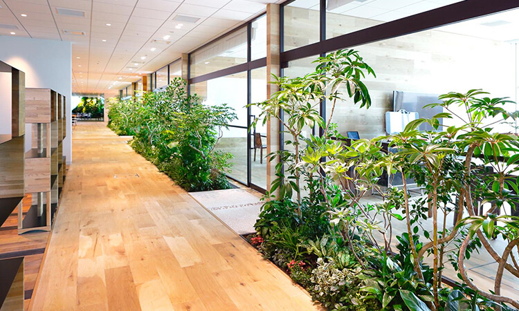 辦公室綠色景觀裝修理念