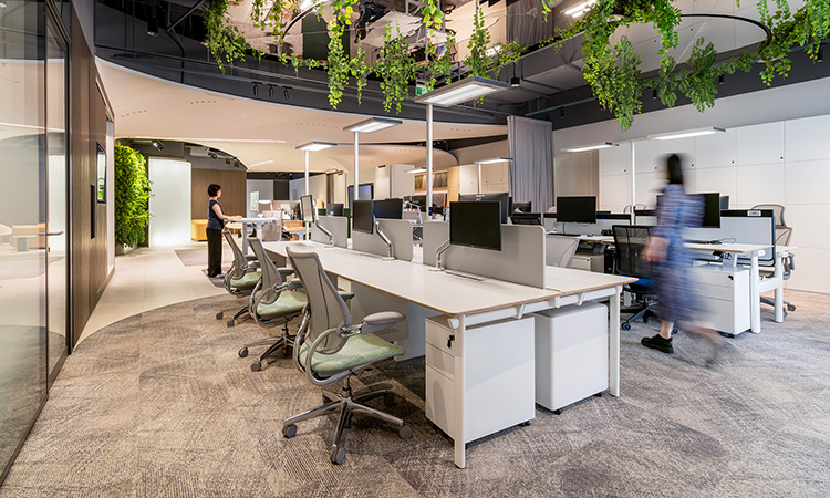 上海辦公室裝修公司運(yùn)營(yíng)環(huán)境 上海辦公室裝修公司運(yùn)營(yíng)環(huán)境