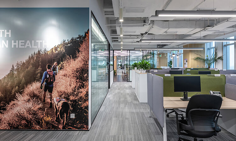 辦公室裝修公司環(huán)境形象 辦公室裝修公司環(huán)境形象