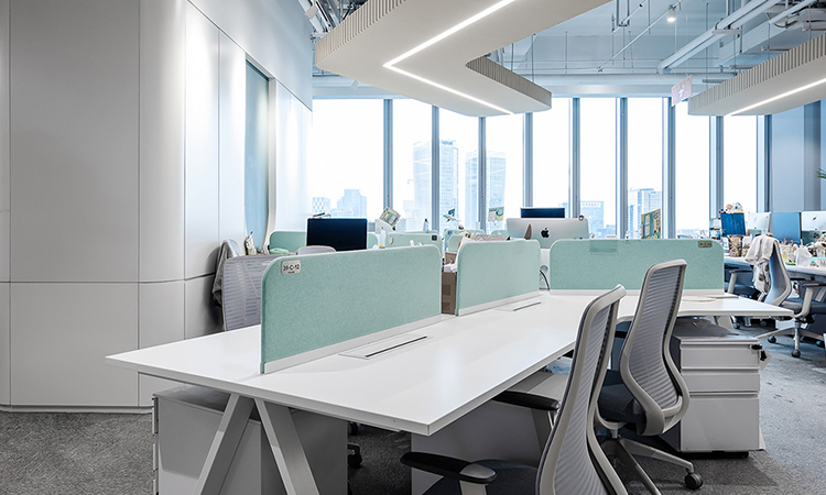 上海某外貿(mào)電商直播辦公室