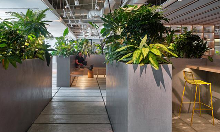 上海辦公室裝修公司員工辦公區